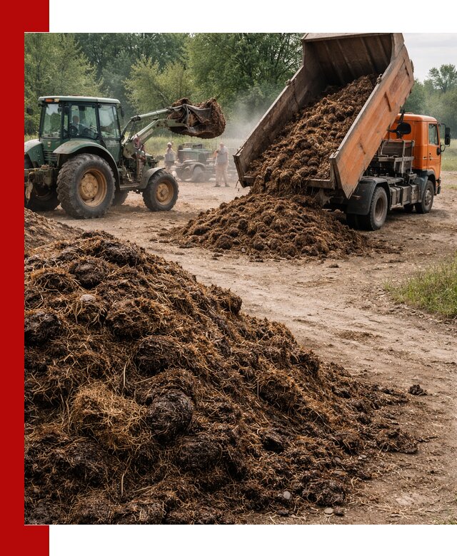 Доставка навоза самосвалами в Домодедово для сельхозпотребностей